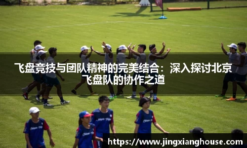 飞盘竞技与团队精神的完美结合：深入探讨北京飞盘队的协作之道
